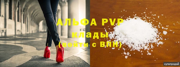 стаф Кукмор