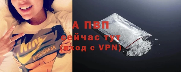 стаф Кукмор