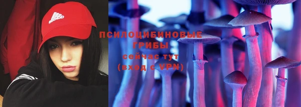 стаф Кукмор