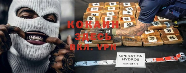 стаф Кукмор