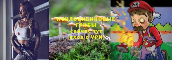 стаф Кукмор