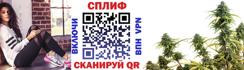 Канабис планчик  где продают наркотики  MEGA tor  Цивильск 